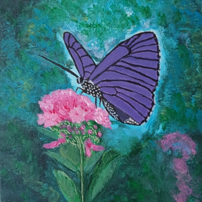 Beautiful butterfly
