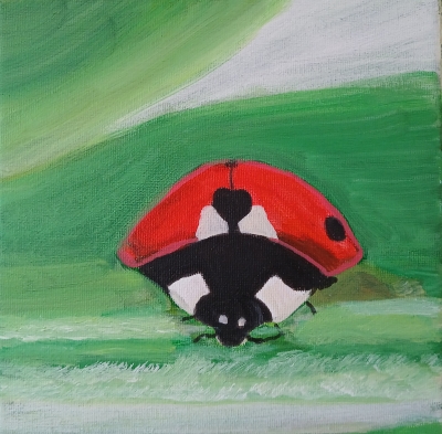 Ladybird 