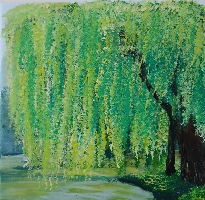 Weeping Willow