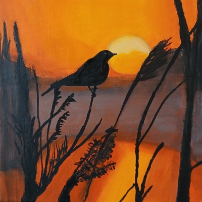 Sunset Bird