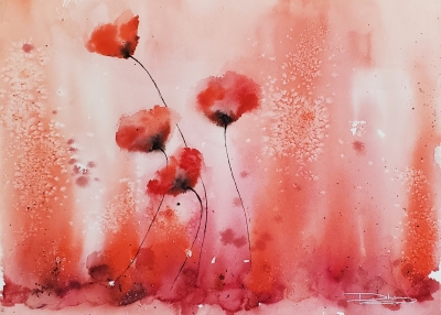 Poppies in the Mist - Scarlet