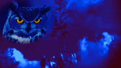 Blue Owl Watches Witches Fire Dance 2