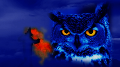 Blue Owl Watches Witches Fire Dance 1