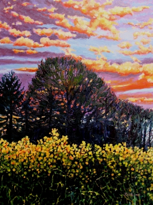 Golden Evening