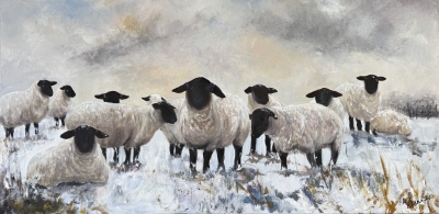 Black Face Suffolk Sheep in Snow