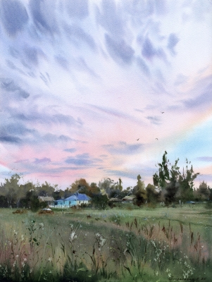 Under the Wide Sky