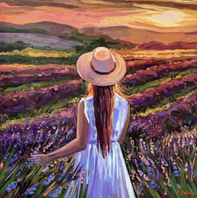 Lavender Fields of Valensole