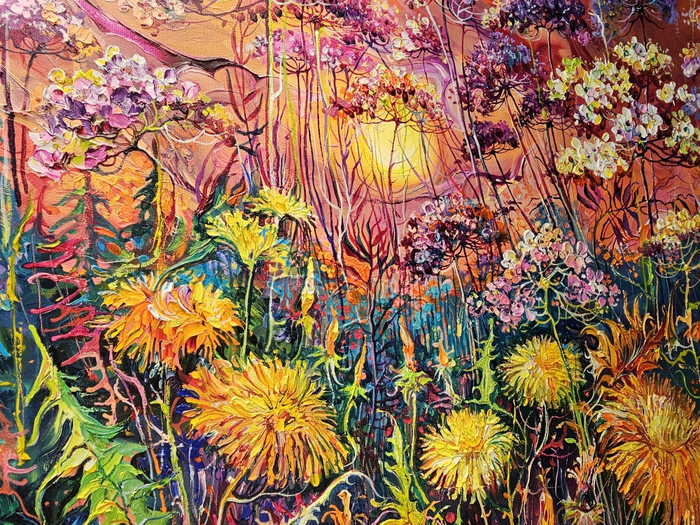 Dandelion and sunset magic