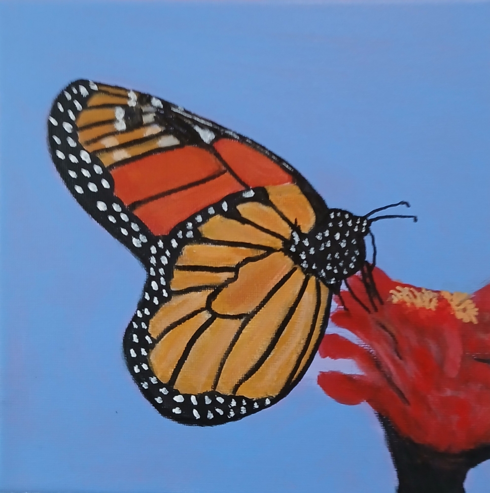 Monarch butterfly