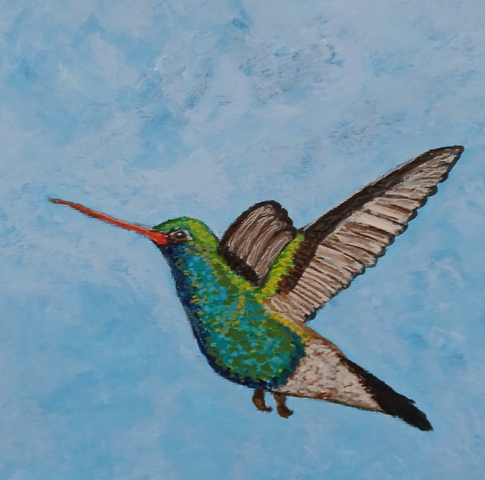Hummingbird 