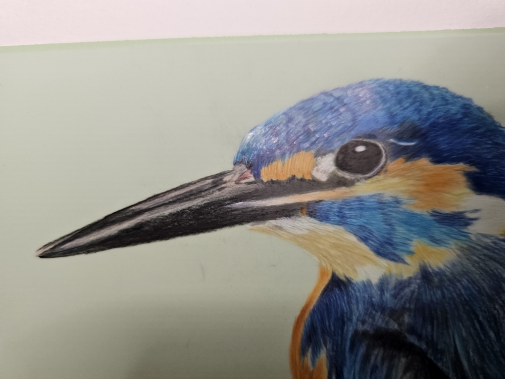 Kingfisher
