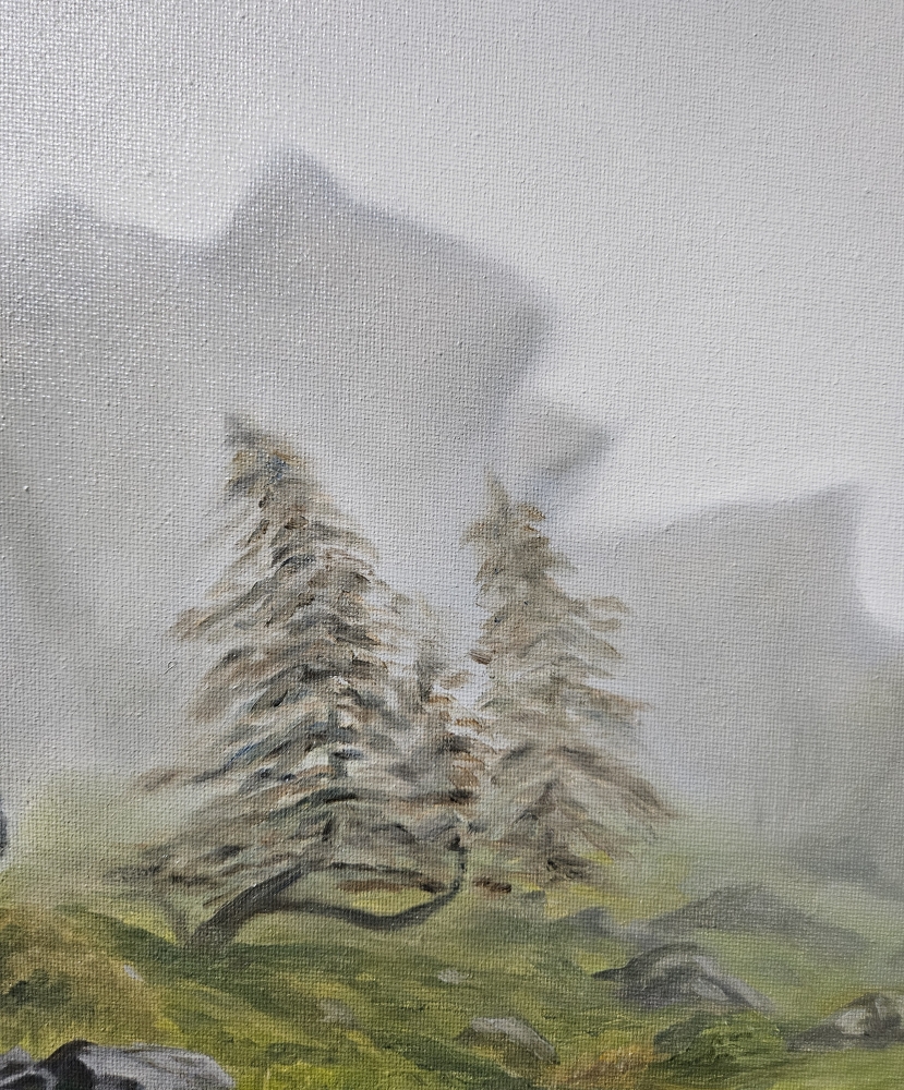 Mistry morning in the Roaches