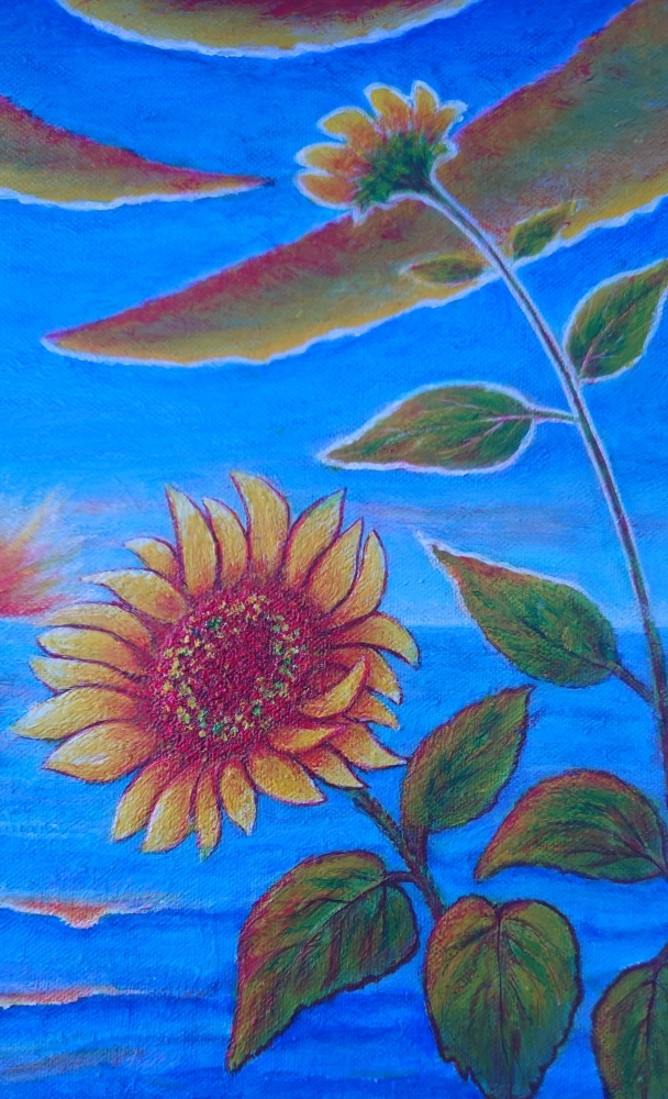 Sunflowers at sunset 