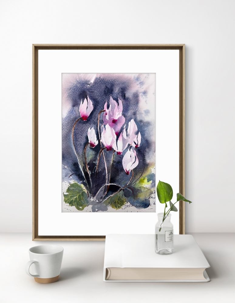 Cyclamen #2