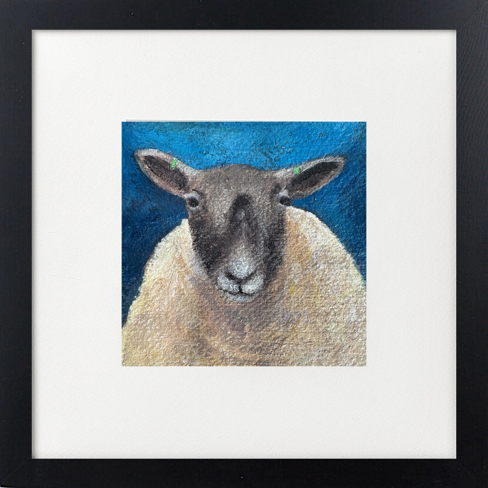 Three sheep framed