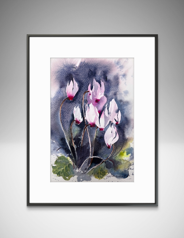 Cyclamen #2