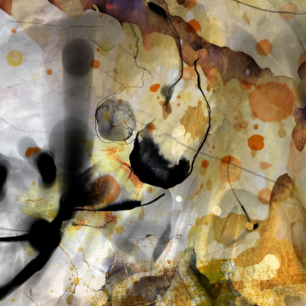 Chaotic Beauty - Diptych