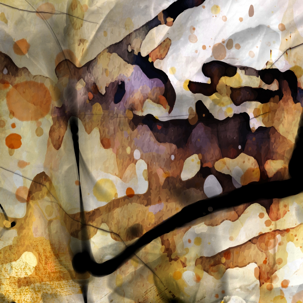 Chaotic Beauty - Diptych