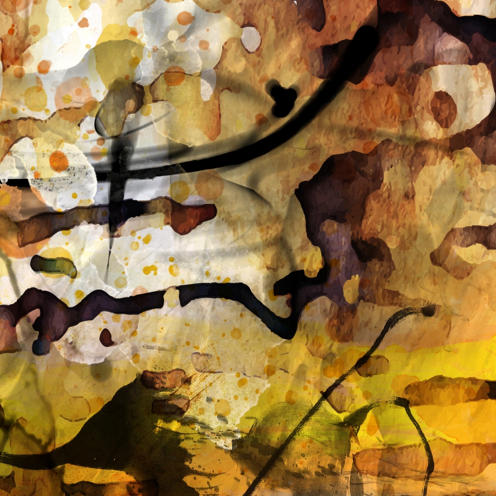 Chaotic Beauty - Diptych