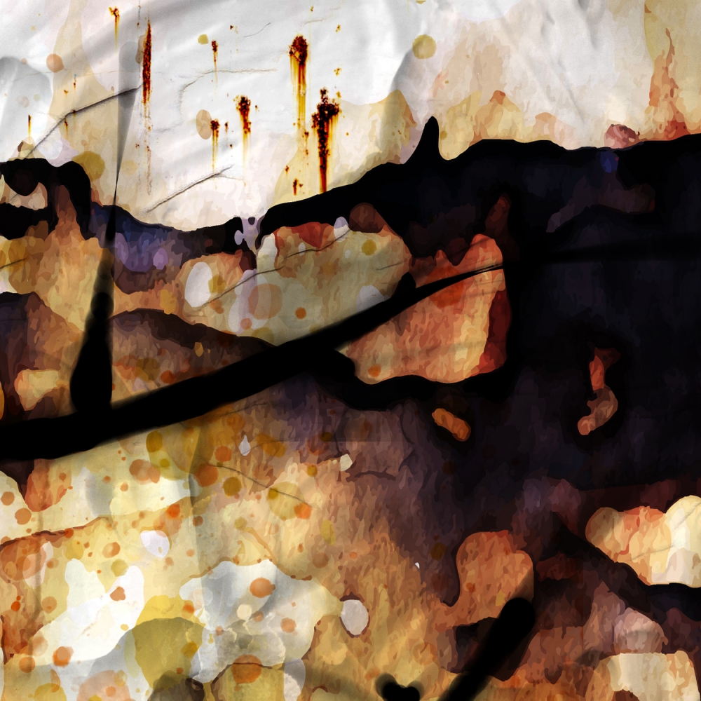 Chaotic Beauty - Diptych