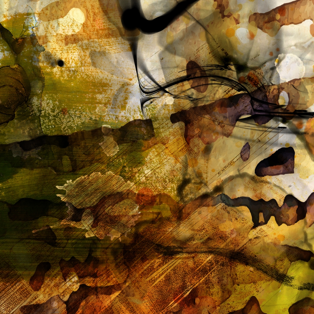 Chaotic Beauty - Diptych