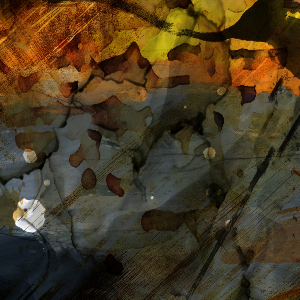 Chaotic Beauty - Diptych