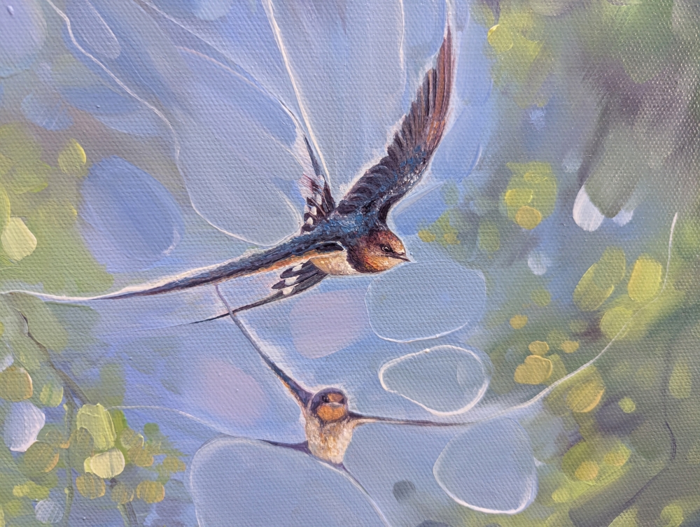 Farewell Swallows