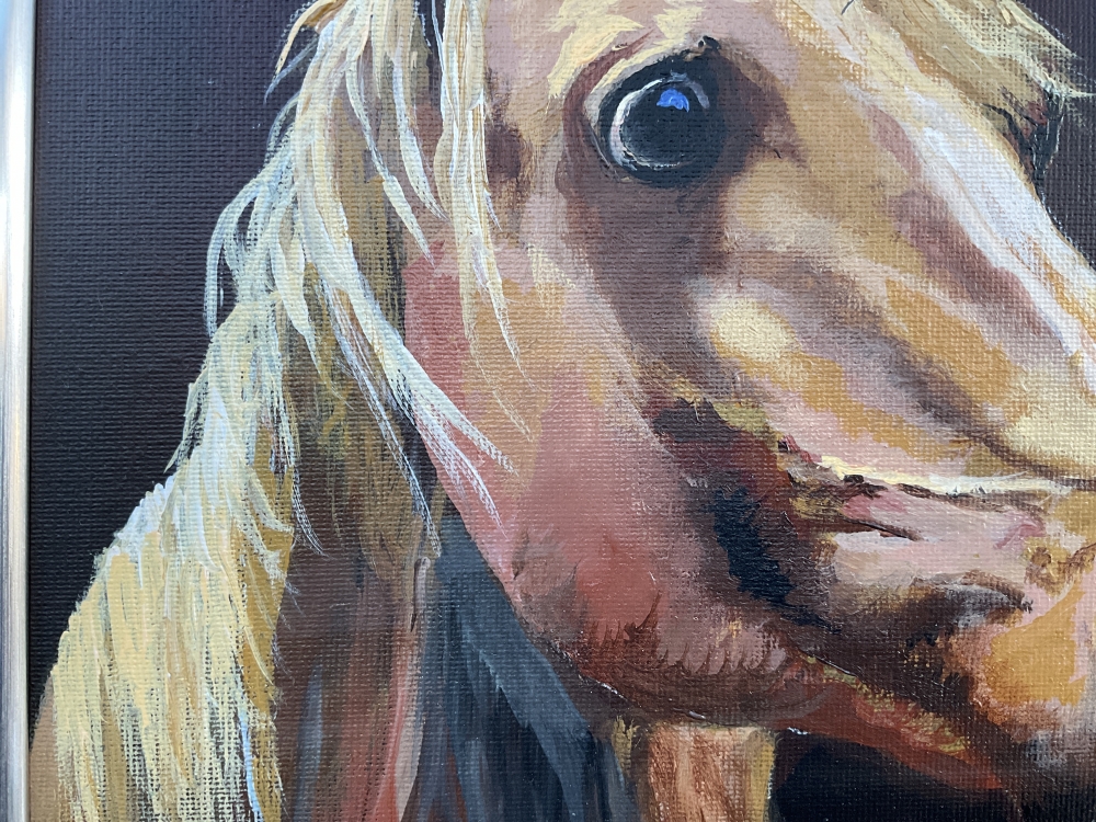Horse portrait