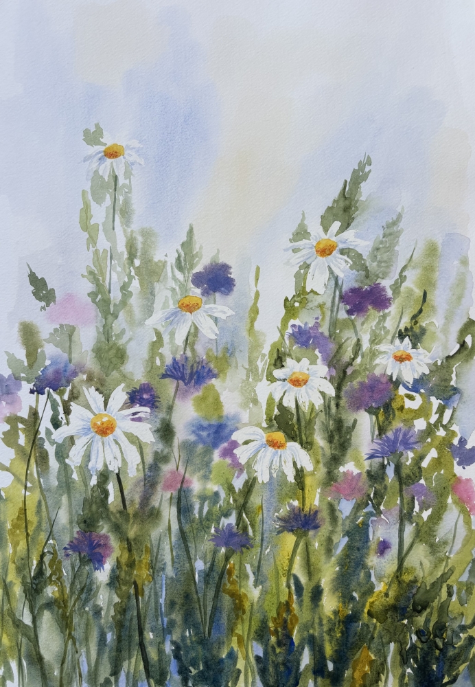 DELICATE WILD FLOWERS