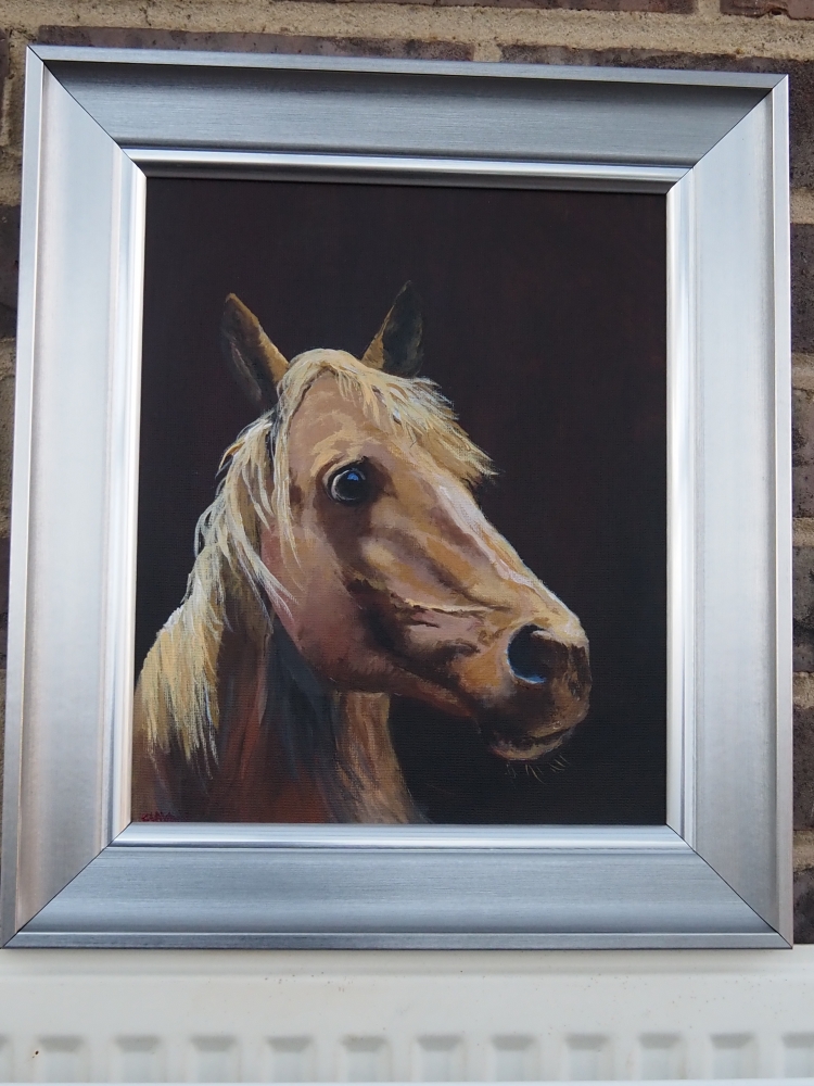Horse portrait
