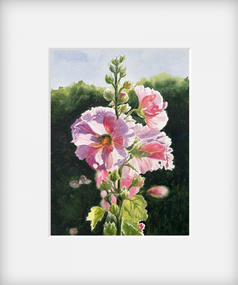 HOLLYHOCKS