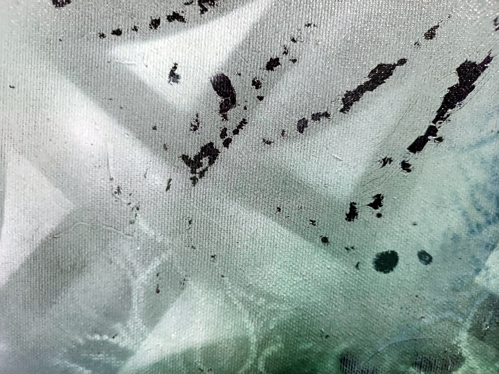 The Hidden Calligraphy of Soft Moss and Time