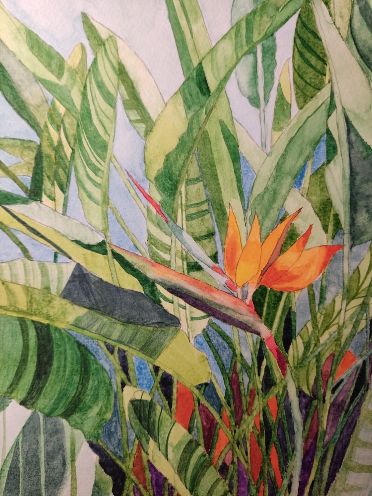 Bird of Paradise flower in watercolour 