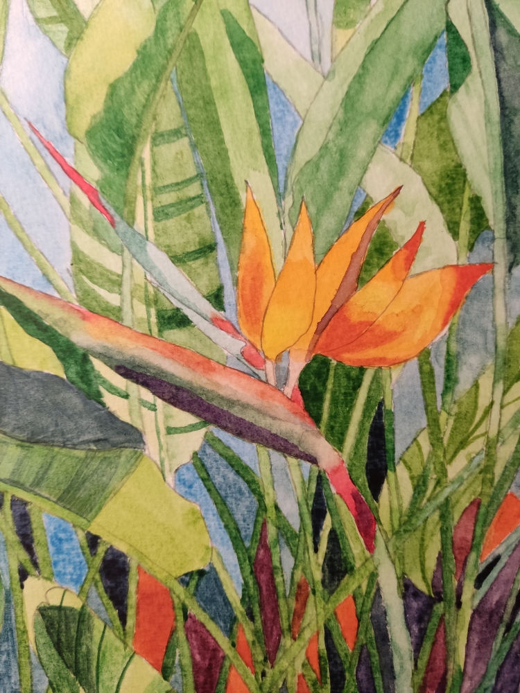 Bird of Paradise flower in watercolour 
