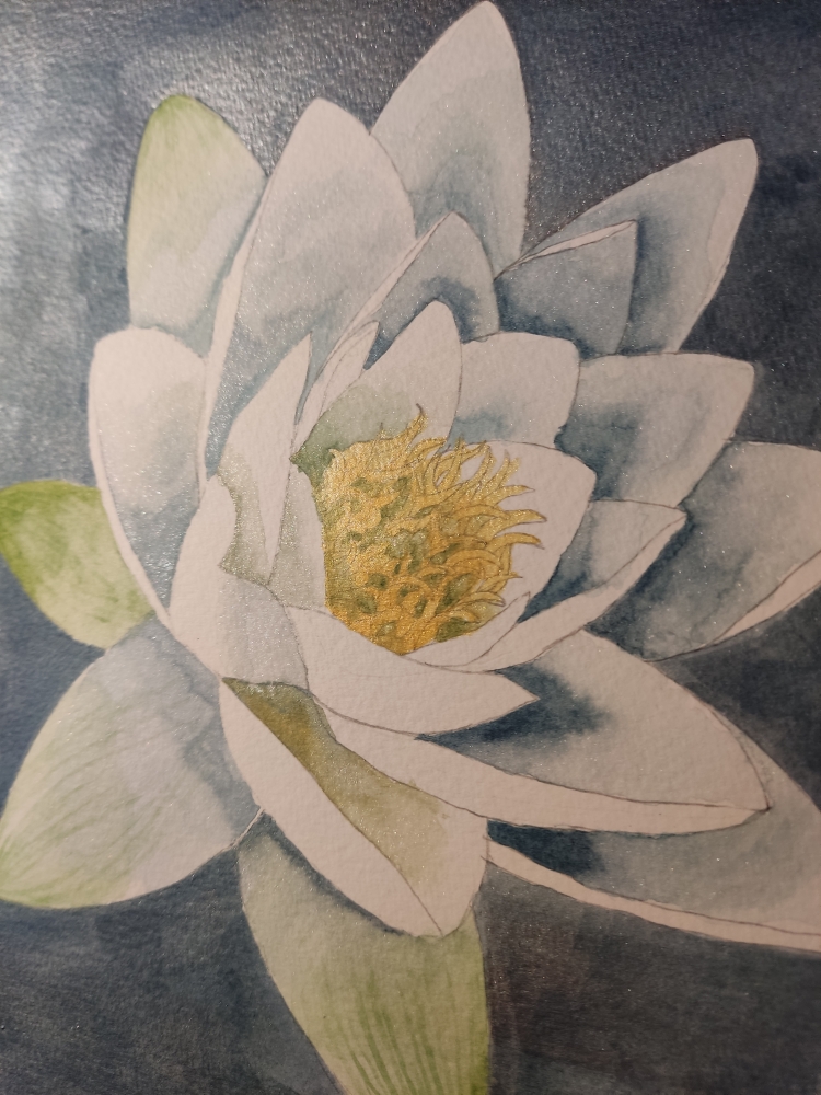 Single white waterlily watercolour 