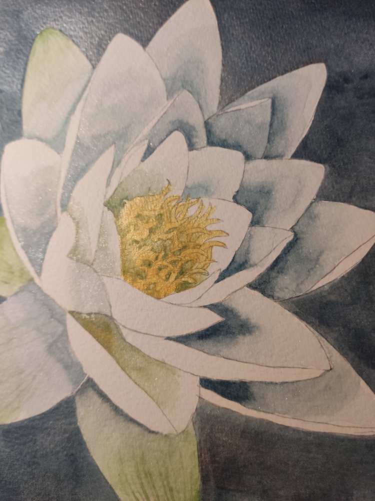 Single white waterlily watercolour 