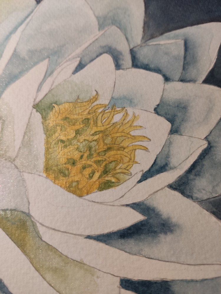 Single white waterlily watercolour 
