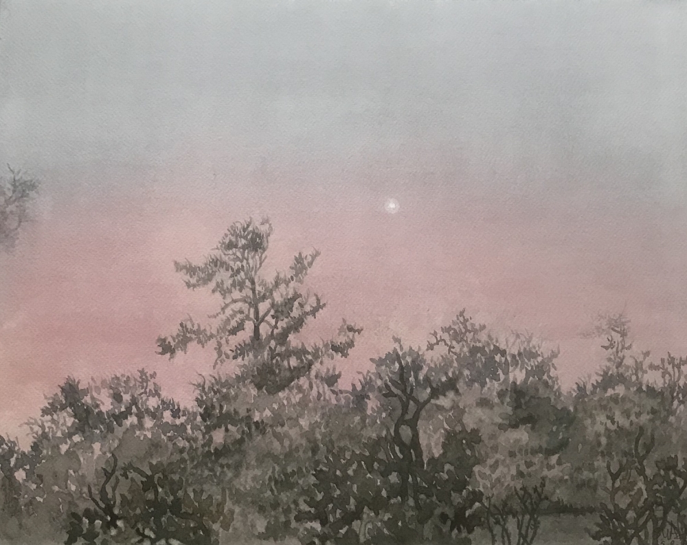 MORNING STAR - VENUS-BRINGER OF PEACE