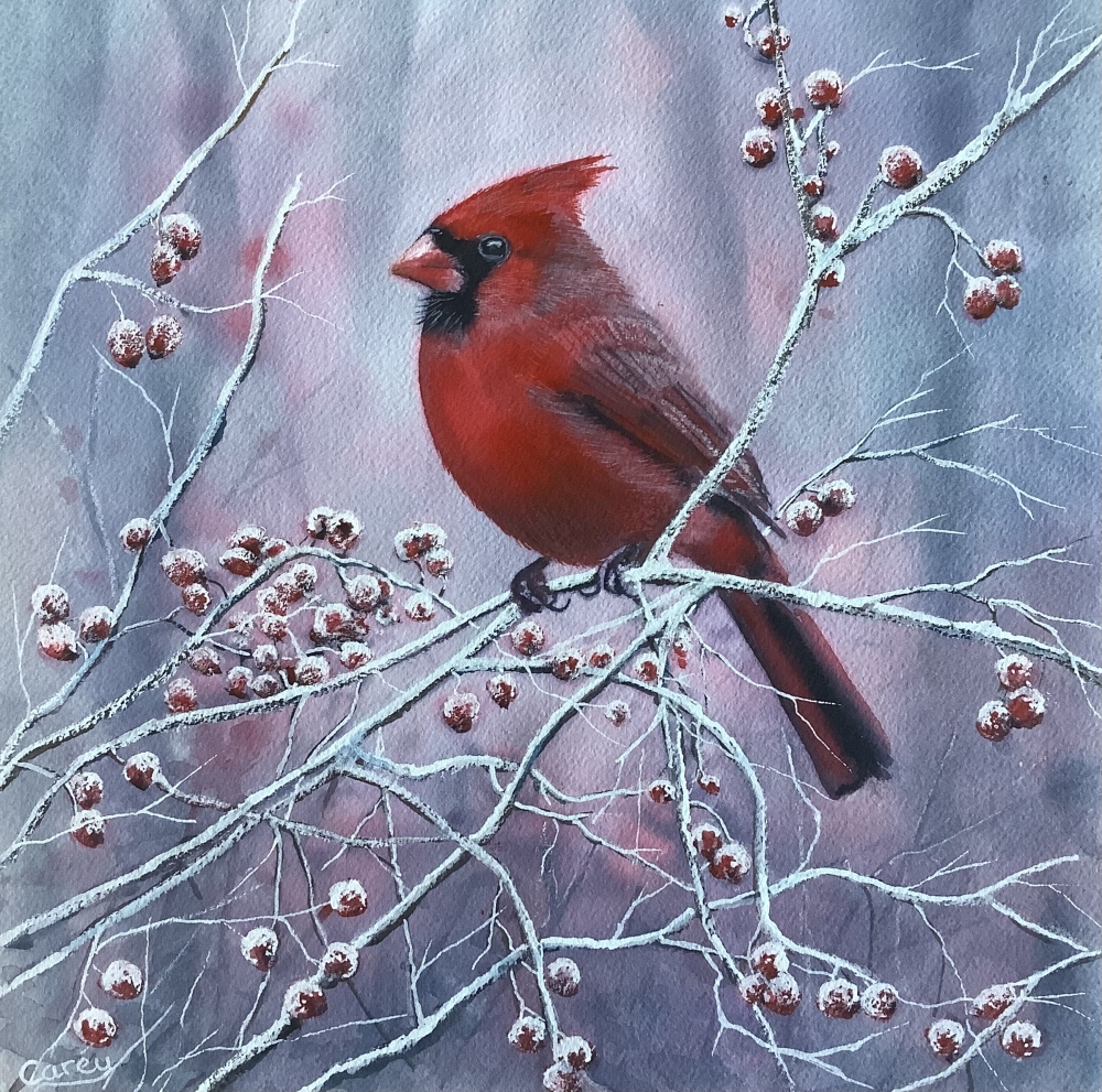 Northern Cardinal winter scene 