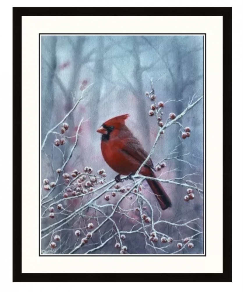 Northern Cardinal winter scene 