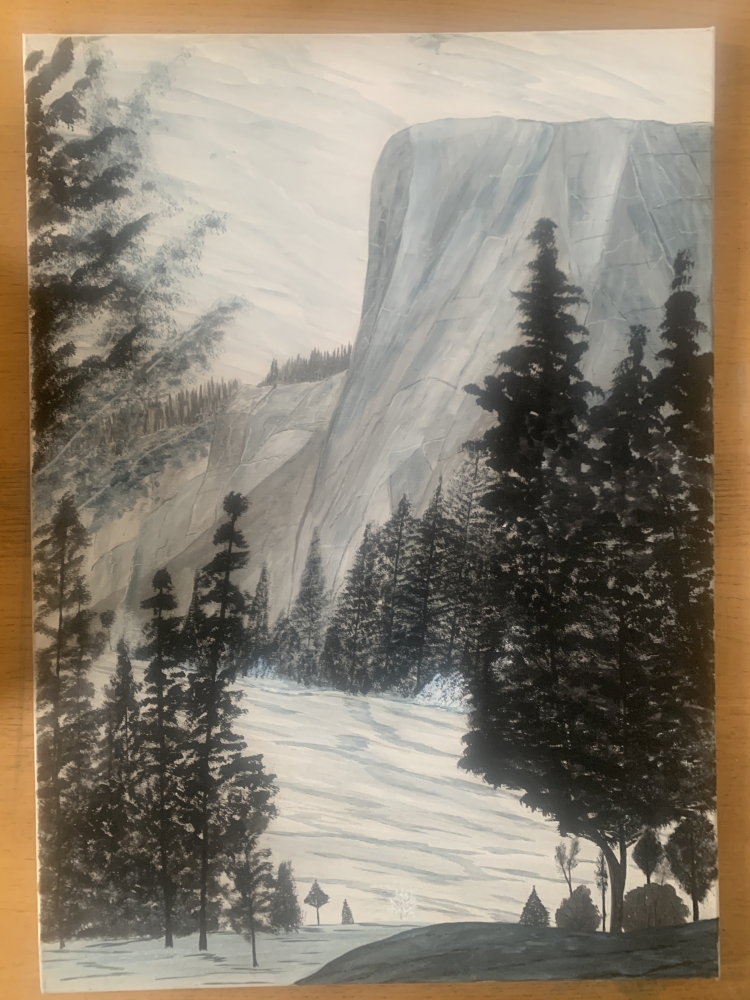 A Yosemite Scene
