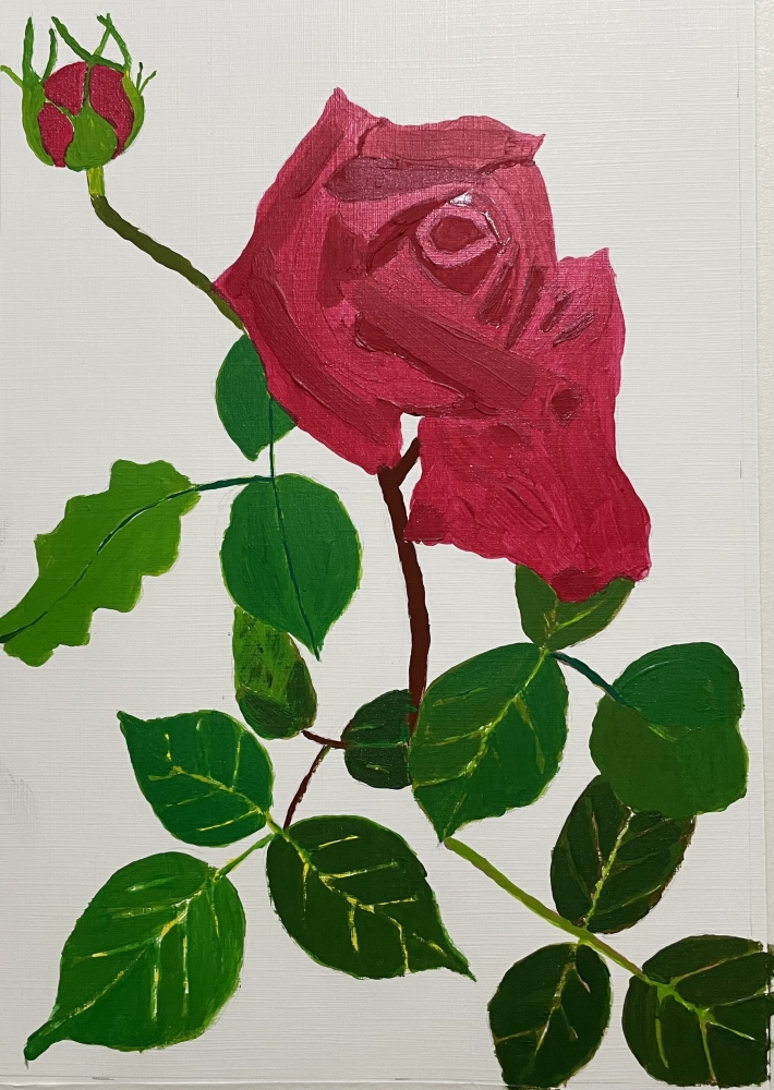 The Beauty (a crimson rose)