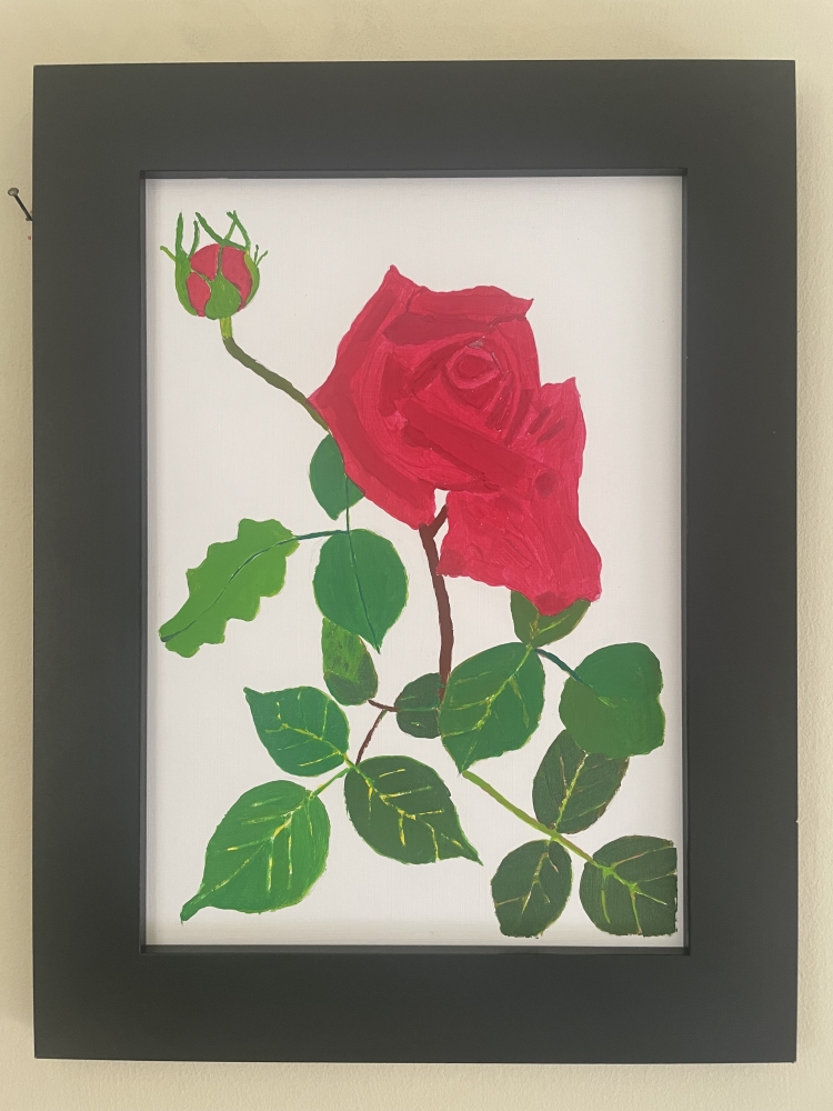 The Beauty (a crimson rose)