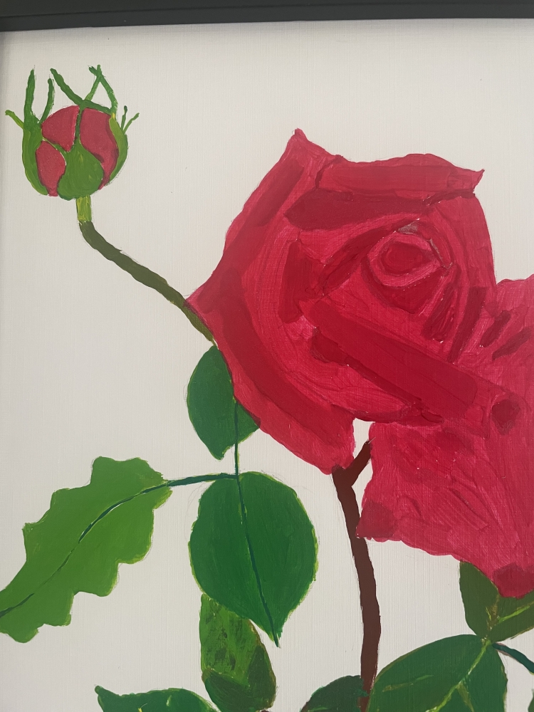 The Beauty (a crimson rose)