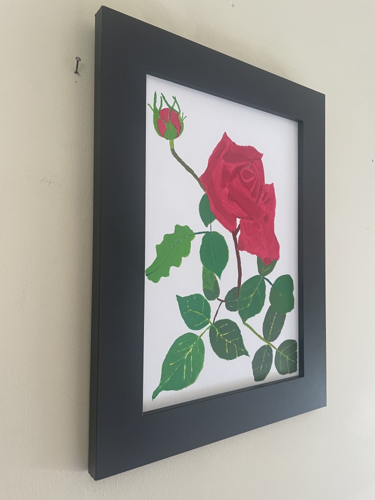 The Beauty (a crimson rose)