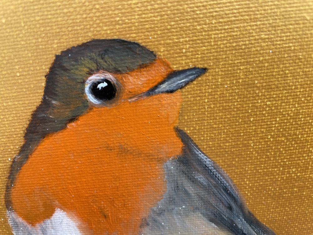 Robin Redbreast