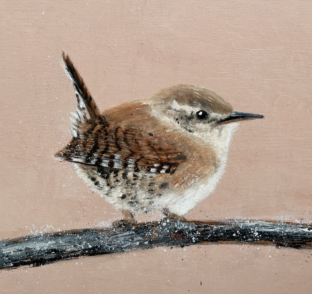 Jenny Wren 
