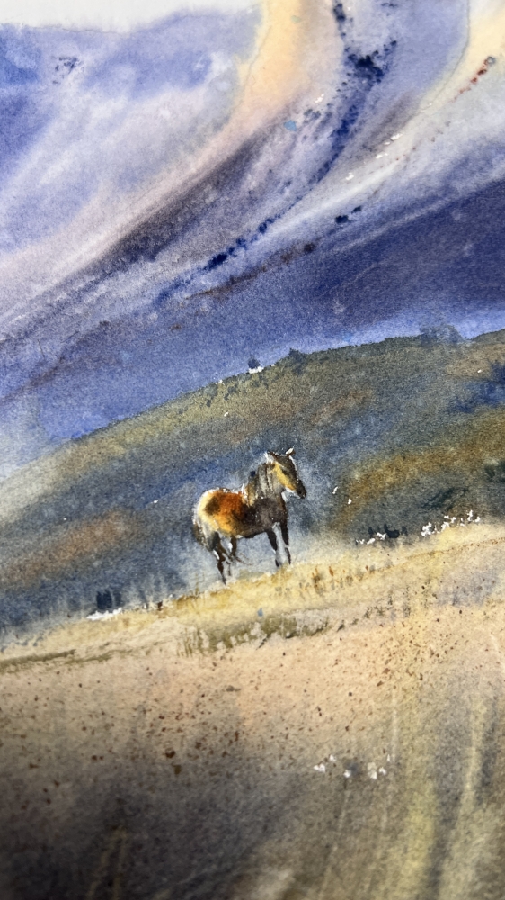 Where the Wind Runs Free