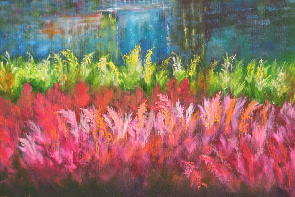 Marwood Hill Gardens, Devon