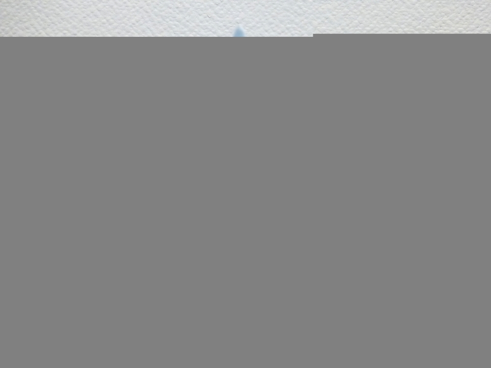 Carrara Marble Wild Animal - Rhinoceros 2